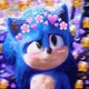 `•°💙🥀○Tia_SONIC♡🥀💙°•`