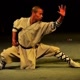 kungfu shaolin