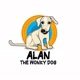 Alan the Wonky Dog