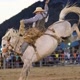 Rodeotime@93