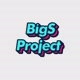 Bigs Project