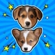 Doby & Blue - Corgis