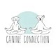 canineconnectionnj