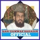 qarizawarbahadur