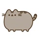 pusheen