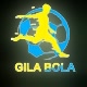 GILA BOLA