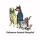 GahannaAnimalHospital
