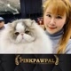 Pinkpawpal Cat