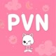 pvn.id