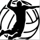 vollyballmoment