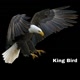 kingbird168