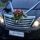alphardweddingcar