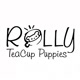Rolly Teacup Puppies