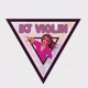 DJ VIOLIN