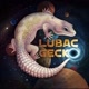 Lubac Gecko