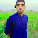 saiful_saqi__1