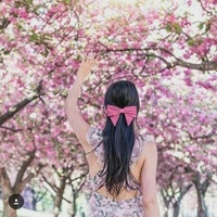 inspiraçõeslookeshoes