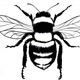 greatfulbee