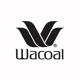 Wacoal Indonesia