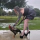 Crazy Florida Chicken Lady