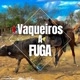 vaqueiros.a.fuga