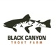 BlackCanyon_Trout