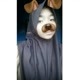 Windynurull23