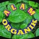 ALAM ORGANIK