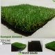 Trust Grass