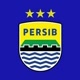 kupa_persib