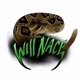 Will Nace