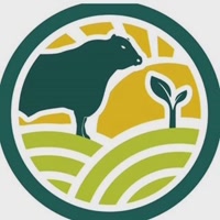 caires.consultoria.represent