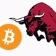 dailycryptobull