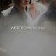Aestec Wedding