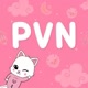 PVNSHOES