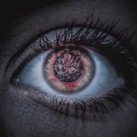 ©GeorgesArmandoAmazo