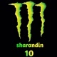 sharandin10