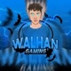 walhan..gaming