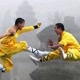 martial art