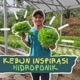 KEBUN INSPIRASI HIDROPONIK  ORGANIK