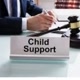 Child support guy