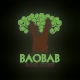 BAOBAB SAFARI RESORT
