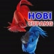 Hobi Cupang