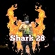 Shark 28