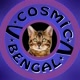 🐾🐆 CosmicBengal 🐆🐾