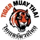 Tiger Muay Thai and MMA Training Cam