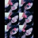Dhea MeiSanty