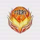 Fiery Basketball