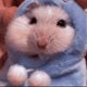 Hamster is here
