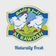Al Rawdah